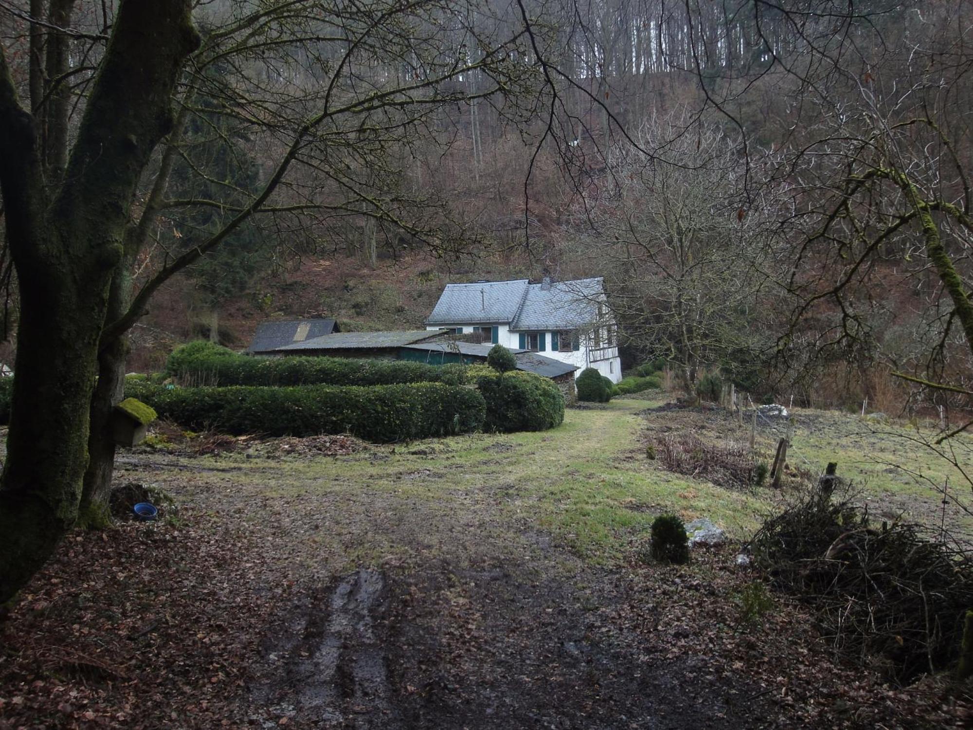 Holiday Home In Kleinich With Sauna Extérieur photo